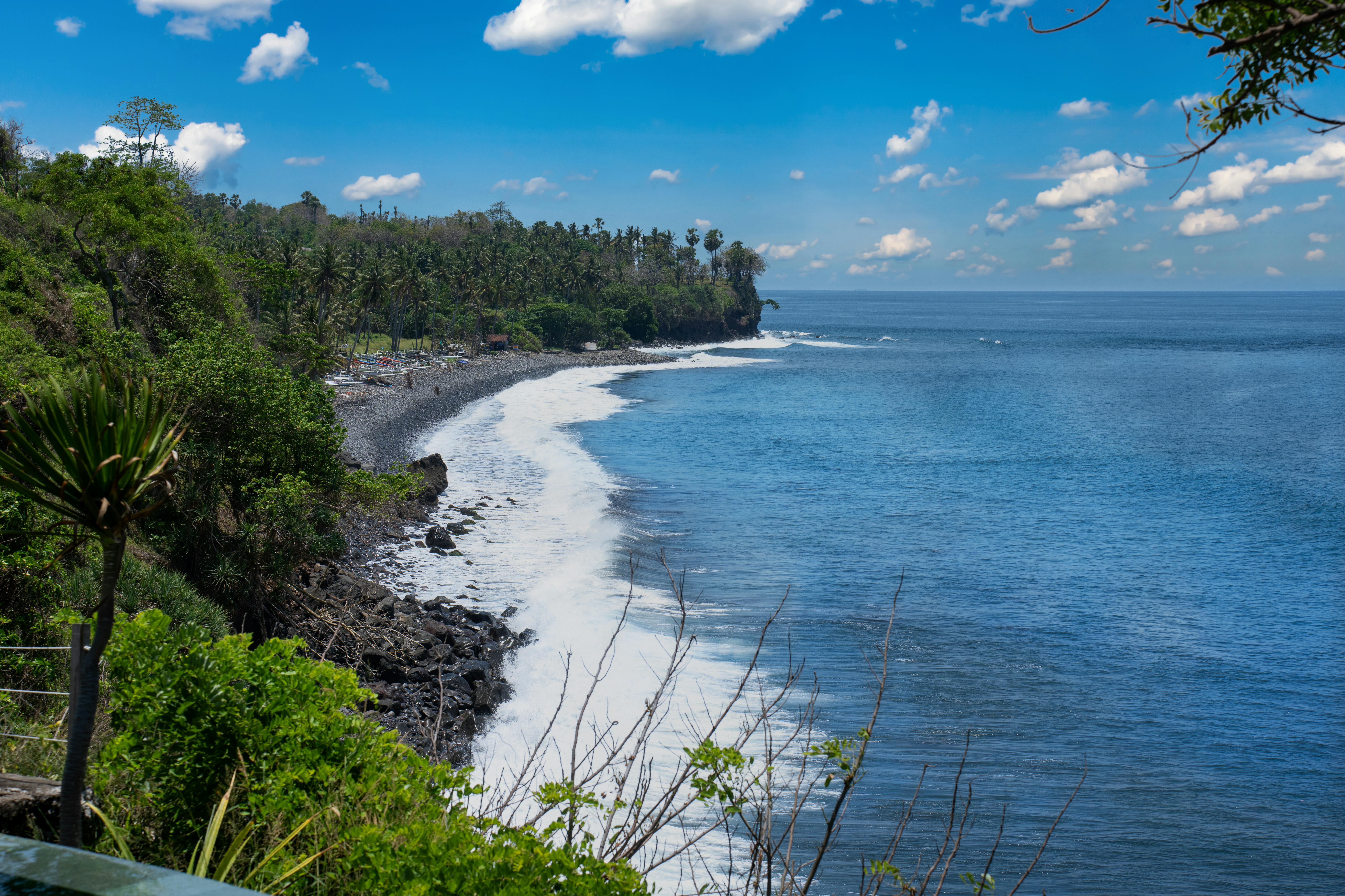 pexels photo 35219409 35219409 1